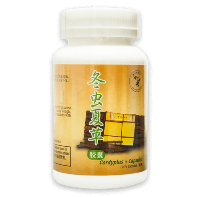 120's 冬虫夏草胶囊 Cordyplus + Capsules